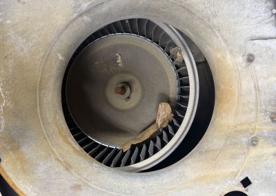 Dirty HVAC blower wheel and housing with debris caught in the blades.